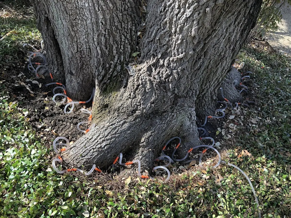 Detailed Shrub and Hedge Trimming job site in Anahuac