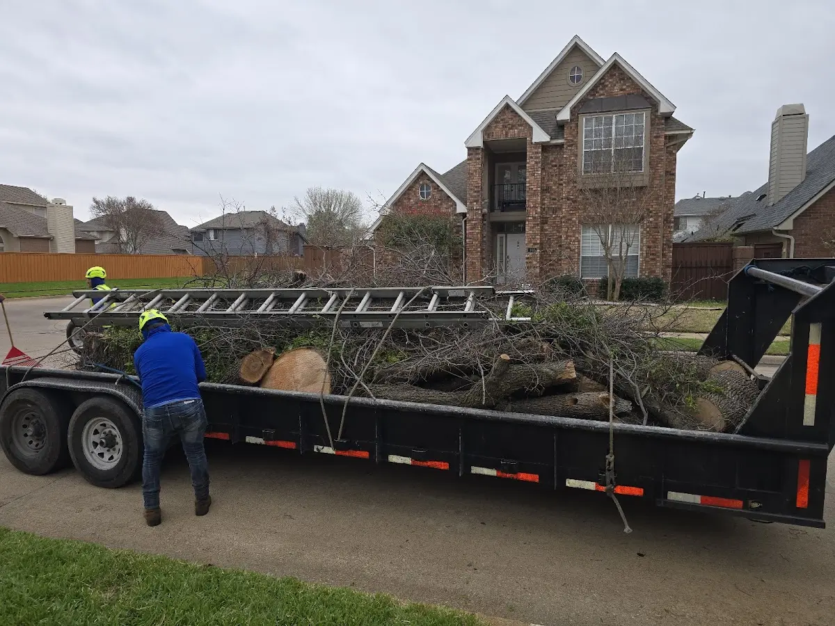 Expert Tree Fertilization with proper safety equipment in Anahuac
